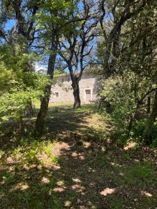 Le cabanon de la bergerie