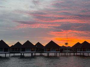 Golden Palm Tree Resort Sepang Avani