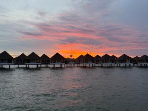 Golden Palm Tree Resort Sepang Avani