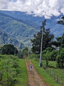 Eco Hotel Birdland en Buga Valle