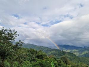 Eco Hotel Birdland en Buga Valle