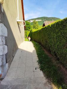 Appartements Studio renove au calme proche de Geneve : photos des chambres