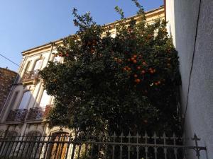 B&B / Chambres d'hotes La maison bachelet : photos des chambres