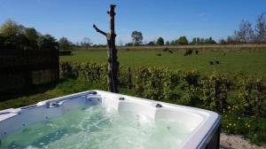 Bed and Breakfast Het schapenlandje