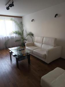 útulný byt v blízkosti centra