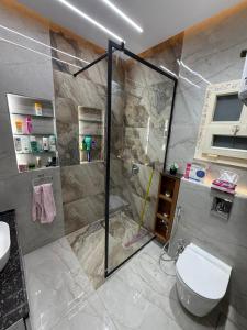 شقة فندقية مفروشه غرفتين ورسيبشن - LUXURIES المنصورة - FURNITURED Flat