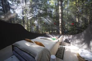 Bubble room sul tetto della Puglia