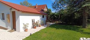 Hilltop Cottage in Szentendre, mountain view, terrace, garden