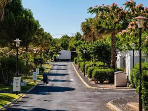 Campings MOBIL HOME CAMPING LES SABLES DU MIDI 3 chambres : photos des chambres