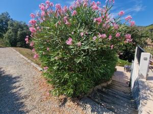 Appartements Hameau Des Claudins : photos des chambres