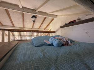 Villas La Bergerie de Lorette - Au Coeur du Luberon : photos des chambres