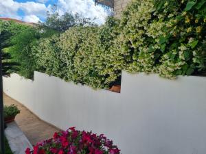 Relaxing and Comforting img25