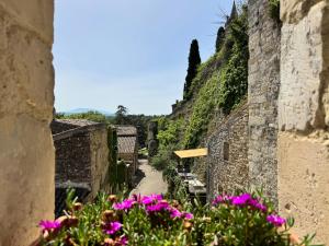 Maisons de vacances Maison Chateaux Lavandes : photos des chambres