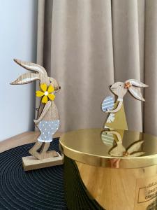 Apartament Piłsudskiego 15-17c