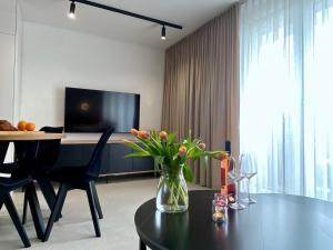 Apartament Piłsudskiego 15-17c