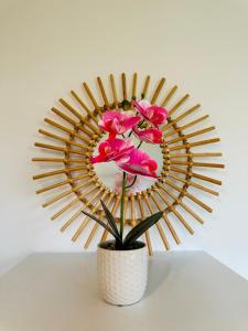 Studio Lumineux avec Balcon - Proche Gare & Centre