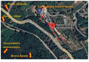 Sa Mesaluna Naturhouse img40