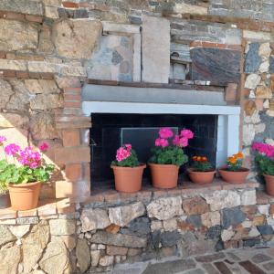 Sa Mesaluna Naturhouse img46