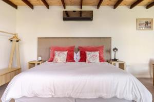 Las Nandinas - Olivo