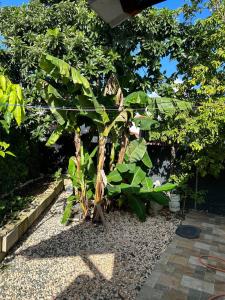 Very family-friendly