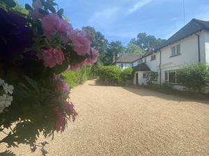 New Forest Country Home with Hot Tub and Open Fire