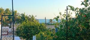 Jacques Beachside Hostel