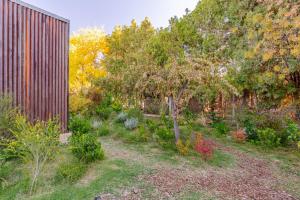 Las Nandinas - Ciruelo