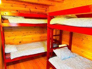 OZOLAND Camp Aktīvās atpūtas vieta