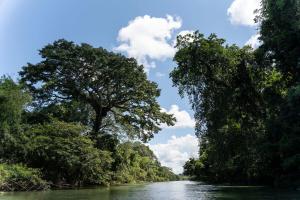 Amazing Cabin RIO LA MIEL