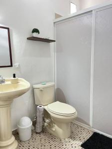 Coco apartamento centrico