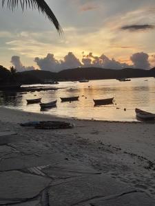 Buziana Orla B Immersion Suite