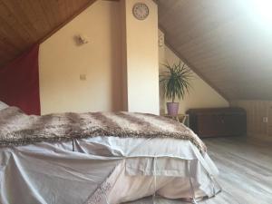 Appartement au calme