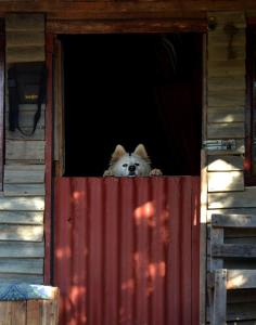 Wooden Cabin Barrydale