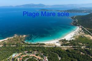 Appartements Vue mer panoramique plage 50m Porticcio Corse : photos des chambres
