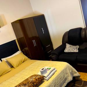 habitación relax, hermosos peces y plantas