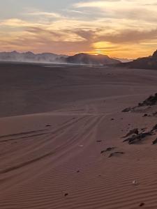 Wasan Camp Wadi Rum