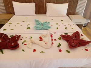 Wasan Camp Wadi Rum