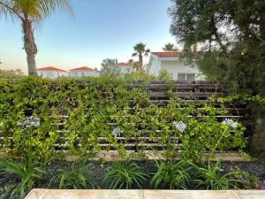 Villa Love - 3BR Romantic Retreat near Coral Bay Beach