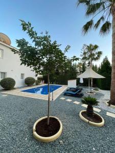 Villa Love - 3BR Romantic Retreat near Coral Bay Beach