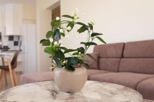 Apartment Jasmine - Peaceful 2-BR City Retreat in Paphos