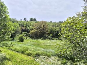 Maisons de vacances Maison Play : photos des chambres