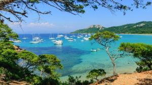 Appartements Joli studio 2 pas du port, clim et au calme : photos des chambres