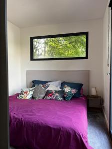 Nature break near Disney