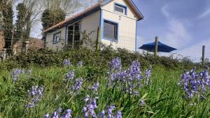 Maisons de vacances Tiny House du Pigeonnier : photos des chambres