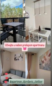 Apartman Đorđević Zlatibor Vila Elsa 4