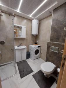 Apartman Đorđević Zlatibor Vila Elsa 4