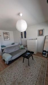 Basic 1 room apt in city center