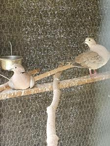Maisons de vacances Le refuge : photos des chambres