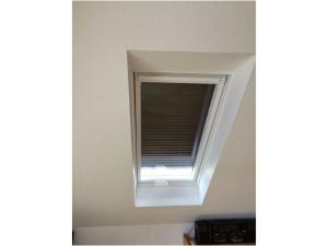 Island Nest Modern Retreat