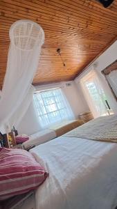 Indovu Wellness Retreat